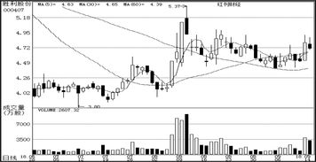 软件开发在公司研究中的关键作用及实施策略